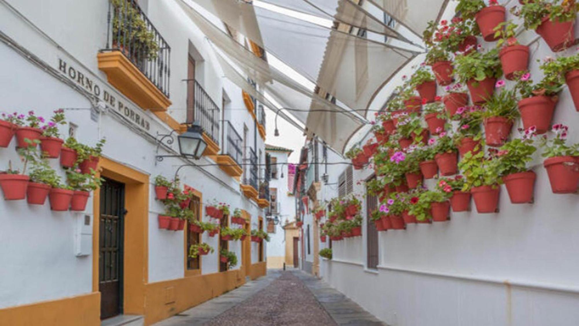 Zahra - Terraza Centro Cordoba Apartment Exterior photo