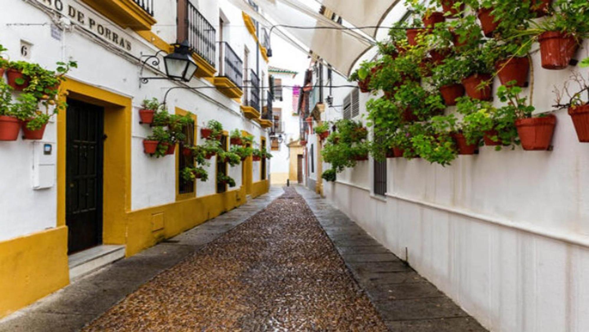 Zahra - Terraza Centro Cordoba Apartment Exterior photo